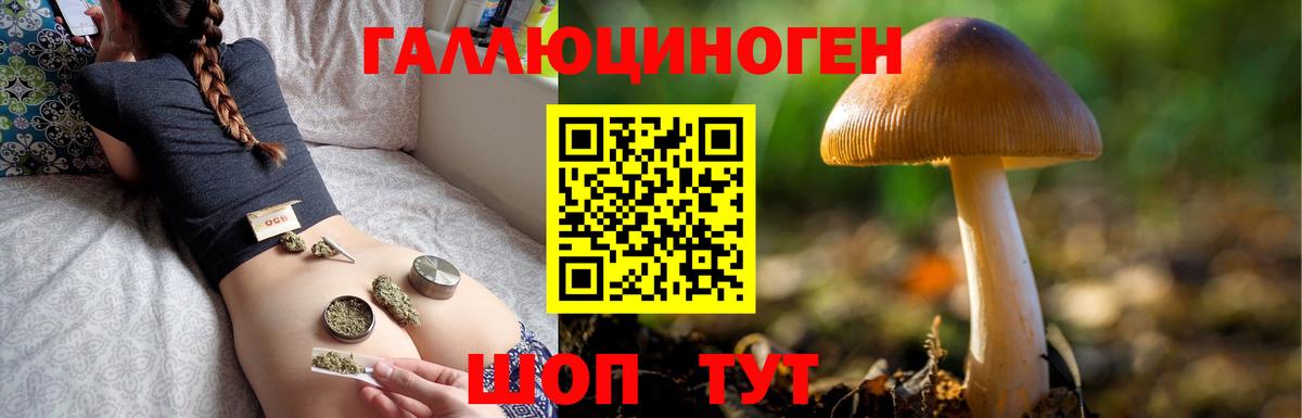 Иваново  Галлюциногенные грибы мухоморы  Вход с VPN 
